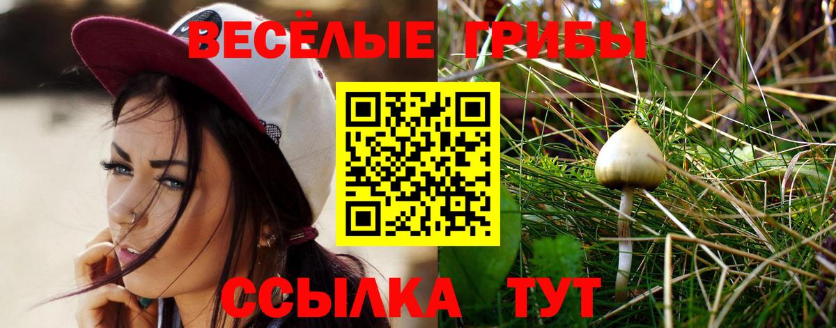 Псилоцибиновые грибы мухоморы Кинель